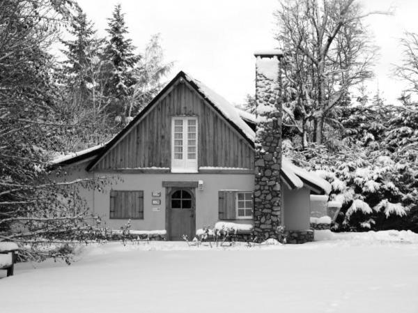 Hosteria El Establo Вилья-ла-Ангостура Экстерьер фото
